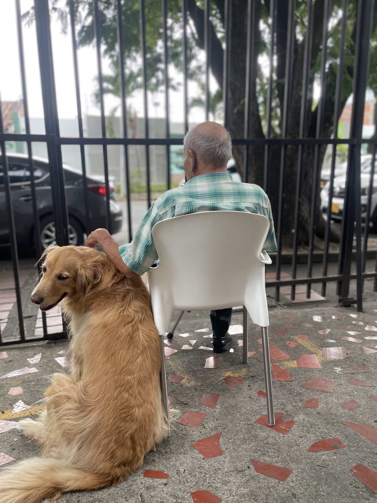 Residente acompañado por su perro, mirando hacia la calle